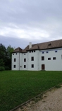 Koncoročný